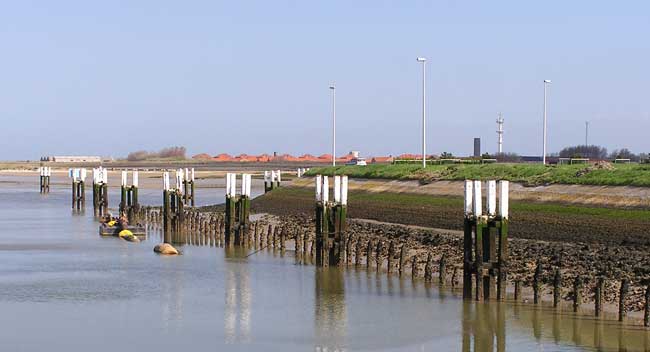 foto have waar de pale van het vroeger staketsel zichtbaar zijn